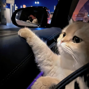 男人把鸡鸡插美女内裤软件
