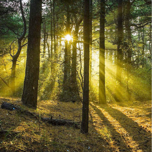 男人把鸡鸡插美女内裤软件
